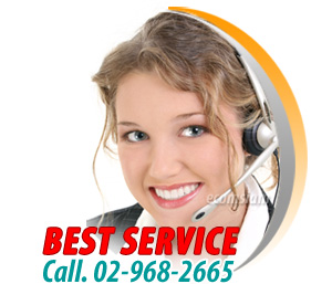 web hosting service contact customer service call 02-9682665