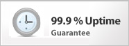 web hosting thailand 99.9% uptime