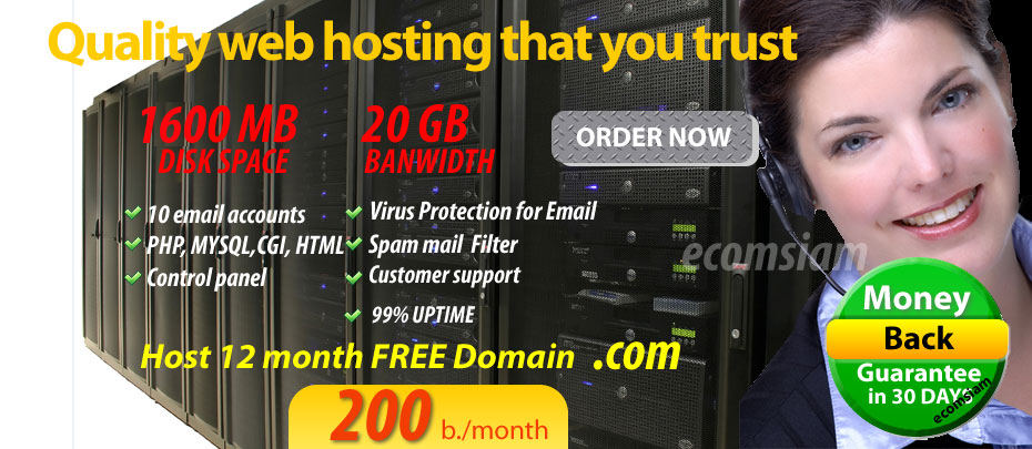 web hosting plan standard -free domain 2200 b./yr