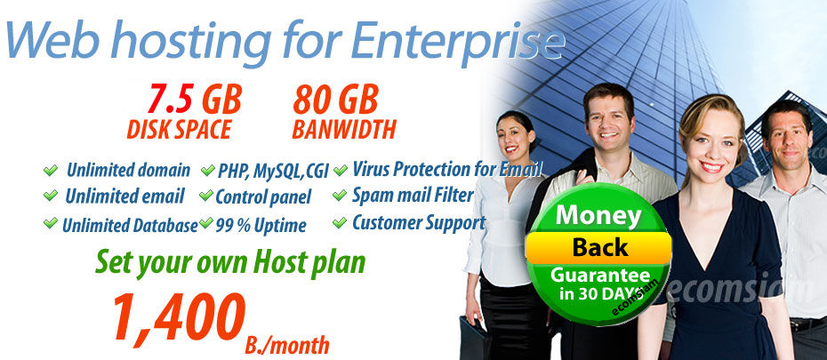 web hosting enterprise plan -free domain 1400 b./month