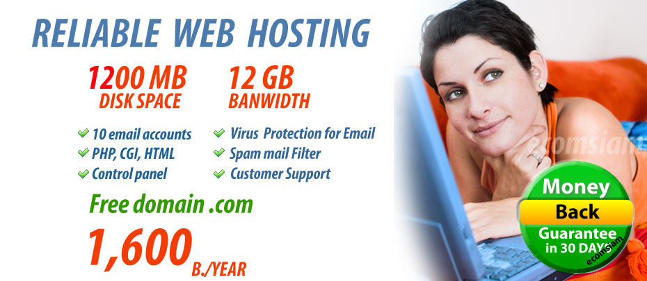 web hosting plan lite -free domain 1600 b./yr